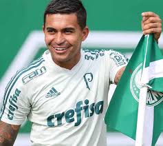 Resultado de imagem para palmeiras dudu renovaÃ§Ã£o
