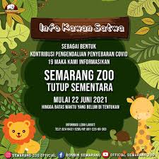 Sayangnya, mencari penginapan murah di tempat ini tergolong susah dan bisa dikatakan tidak ada. Semarang Zoo Posts Facebook