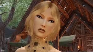 Ilyarra's High Poly Racemenu Presets at Skyrim Special Edition Nexus