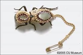 Live Beetle Pin From University Of Colorado Museum Of Natural History Insect Jewelry Unusual Jewelry Jewelry Definition
