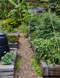 How do you start backyard compost bins? Here S All You Need To Know About How To Set Up A Compost Bin