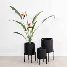 Leroy merlin is involved in improving housing and living environment of people in the world. Vasi E Portavasi Per Arredare Al Meglio Con Le Piante Cose Di Casa