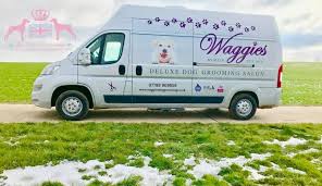Here are some examples of average pet grooming prices: Waggies Dog Grooming Mobile Dog Grooming Kings Hill Kent