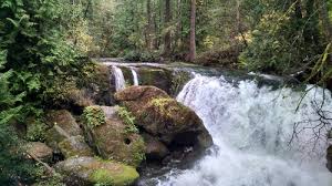 Photos — David Seater