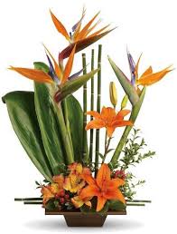 Flowers for him, flowers for her, sweet 16 flowers Cny Flower Delivery Send Flower And Plant Chinese New Year Cny Flower Guide Floral Arrangement For Cny Order Cny Orchid