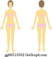 What parts make up the female anatomy? Body Parts Clip Art Royalty Free Gograph