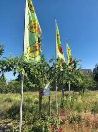 Pin Von Michele Lichte Auf Bonn Cafes Restaurants Bonn Cafe Restaurant Cafe