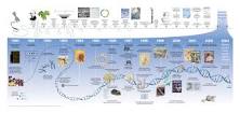 Image result