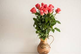 Resultado de imagen para agua de rosas