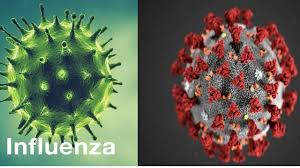 Vor 2 tagen · florona disease: Tmozcfpar164jm
