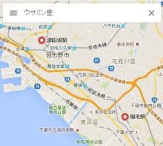 Googleマップでウサミン星を検索すると Google先生の特定が容赦ないと話題に ニコニコニュース
