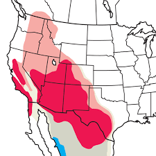 In 2020, we received over 13,000 first. Black Chinned Hummingbird Audubon Field Guide