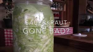 How To Tell If Your Sauerkraut Has Gone Bad Youtube