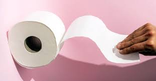 Reusable paper towels are meant to be a replacement of single use paper towels. Reusable Toilet Paper Pros Cons Making Your Own How To Clean