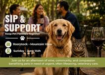 Sip & Support Sage Compassion for Animals