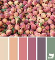 Image Result For Seeds Color Palette Bois De Rose Seeds Color Color Balance Color Schemes Colour Palettes