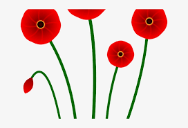 Orange flower decoration, yellow flowers, flowers deductible elements png. Orange Flower Clipart Single Flower Poppy Free Transparent Png Download Pngkey