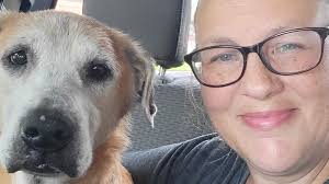 Fundraiser by Sandra Childress Nagy : Bailey's Last Moments Matter