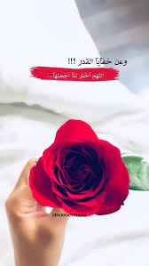 منيرة منورة mnooooora muneera صباح صباح الخير مساء قهوة شاي روز ورد دعاء محمد صلوات