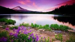 2048 x 1152 pictures nature. 2048x1152 Nature Scenery 2048x1152 Resolution Hd 4k Wallpapers Images Backgrounds Photos And Pictures