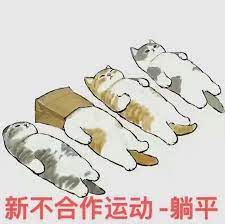 2) 仰卧平躺哑铃飞鸟 yǎngwò píngtǎng yǎlíng fēiniǎo. Pmmoiibxl Ma M