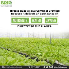 Hydroponics Hydroponics Hydroponic Farming Farming Technology