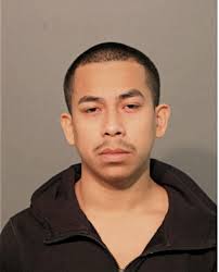 ᐅ Illinois Criminal Records 2009-2025