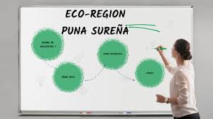 Habita las ecorregiones de los altos andes, la puna en los altos andes y la puna, donde comparte hábitat con el gato andino (leopardus jacobita), alcanza densidades relativamente altas sosteniendo. Eco Region Puna Surena By Steven Teran