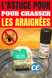 We did not find results for: L Astuce Etonnante Pour Chasser Definitivement Les Araignees De La Maison