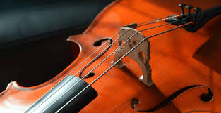 And while it can be a bit tricky at first, for most students, learning this fundamental skill is pretty basic when using a chromatic (or digital) tuner. Fine Tuners To Use Or Not To Use Fiddlershop