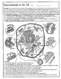 Biochemistry Tests For Food Macromolecules Lipid Answers Macromolecules In The Cell The Ngss Standards Require That Students Have A Good Understanding Of Where Biomolecules Come From And Macromolecules The Cell Cell