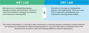 These are the precaution that computer professionals should be aware of when using the computer to avoid health problems and. Lab Design Lay The Foundation For Scientific Discovery Crb