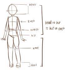 Pin On Drawing Bodies
