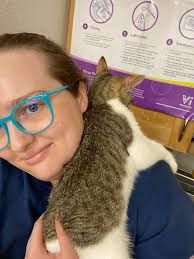 ⚠️ If you are looking for kittens to adopt, Main Street Mutt and Meow  Rescue is currently at 8️⃣0️⃣ locally rescued and lovingly fostered babies.  Even if you are not in the