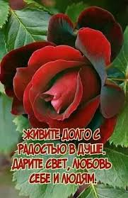 Открытки - Живите долго с радостью в душе, Дарите свет,... | Facebook