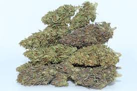 Berry Blossom Hemp Strain Powerful Cbd Flower Dr Ganja