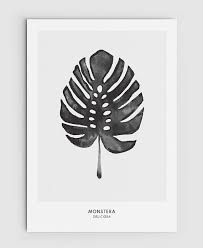 Mar 15, 2019 · these tropical plants are a top household choice and do great indoors. Pin On Tropical Design Ideas