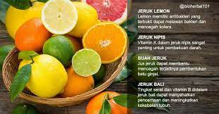 20 Jenis Buah Yang Bermanfaat Mencegah Dan Mengobati Penyakit Buah Jeruk Kesehatan Pencernaan Jus Jeruk