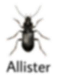 Pin By A B B Y On Bugs W Names Stupid Memes Funny Memes Bug Collection