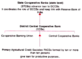 He has constructed a dairy unit with more than 52 dairy cows, a piggery unit with more than 220 pigs, and. Notes On Agricultural Finance And Marketing