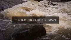 Download easy to customize after effects 2d intro templates today. Universal Studios After Effects Templates Projects Pond5