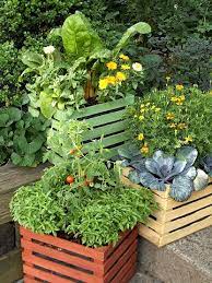 19 Ways To Grow Vegetables In Containers That Will Look As Gorgeous As They Taste Vegetable Garden Boxes Growing Vegetables In Containers Container Gardening Vegetables