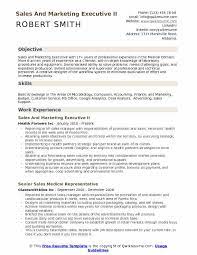 Let these two samples from sales executive style resumes light the way. Sales And Marketing Executive Resume Samples Qwikresume