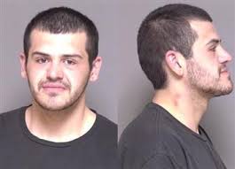 Current Dodge County In Custodies