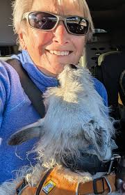 Please help this pup!