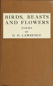It was a publicity stunt when he spoke. The Project Gutenberg Ebook Of Birds Beasts And Flowers By D H Lawrence