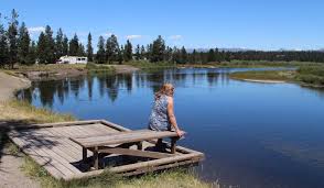 More places than usual for a now there are several options for camping in yellowstone. Baker S Hole Campground