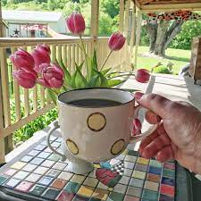 I love gardening, reading, nature, laughing, small furry animals, and a good cup of coffee on the porch (or perhaps a glass of red wine depending on the day!). Coffee On The Porch Snap Peas