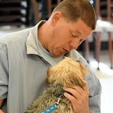 Richland Correctional training program a godsend for Ashland County Dog  Shelter