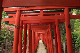 thousand torii gates in nezu shrine japan travel things to do visit japan